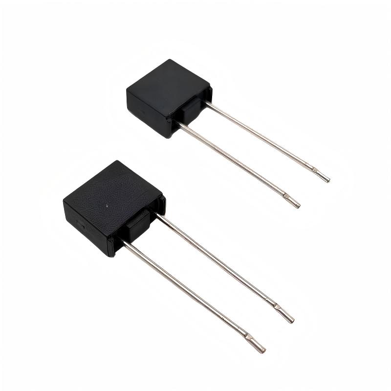 Radial Lead Square Fuse / Through-Hole Square Slow-Blow Fuse (PCB Mount)
